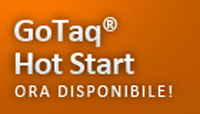IT_GoTaqHotStart